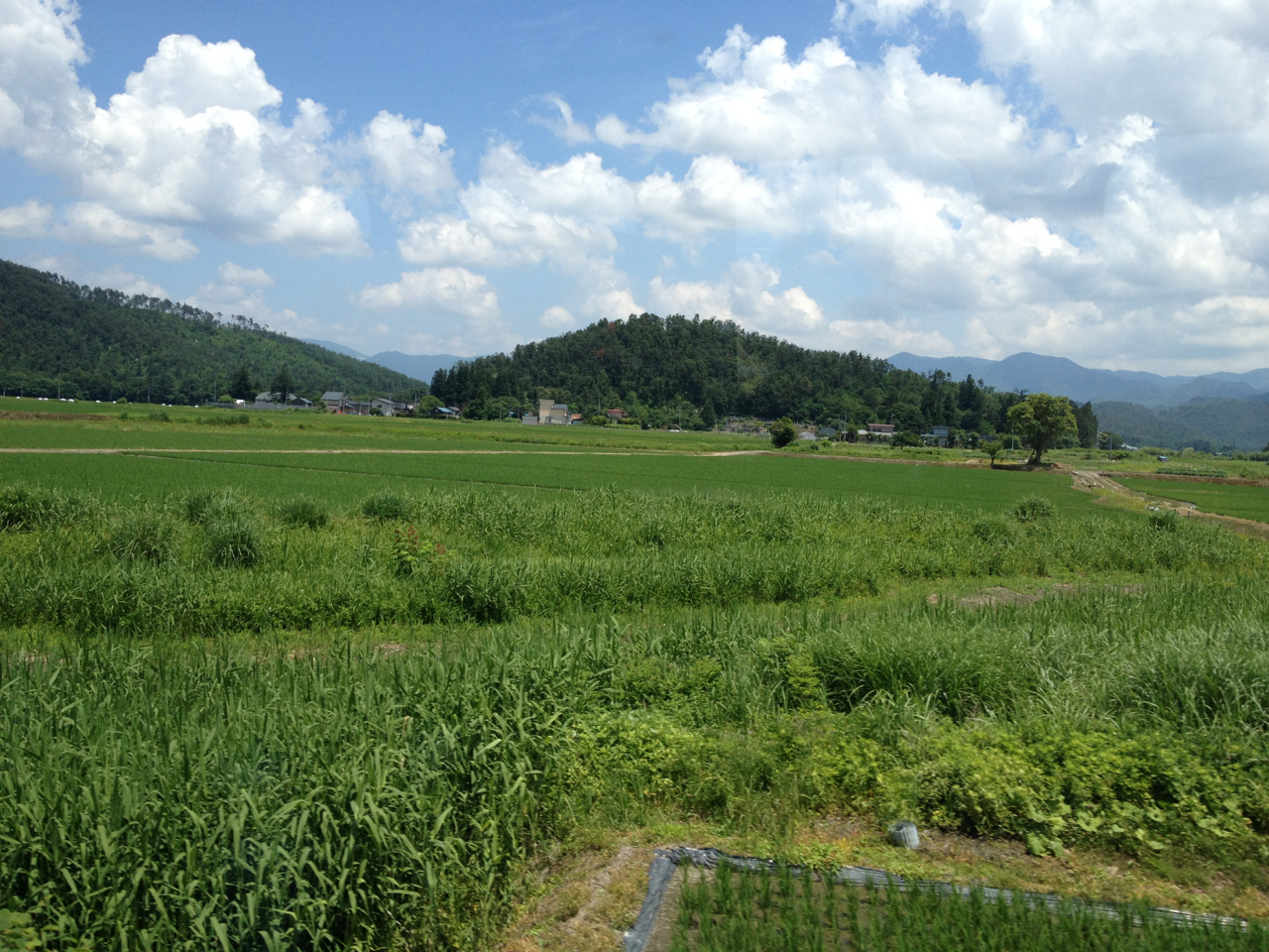 week4-hayashizaki-02-2